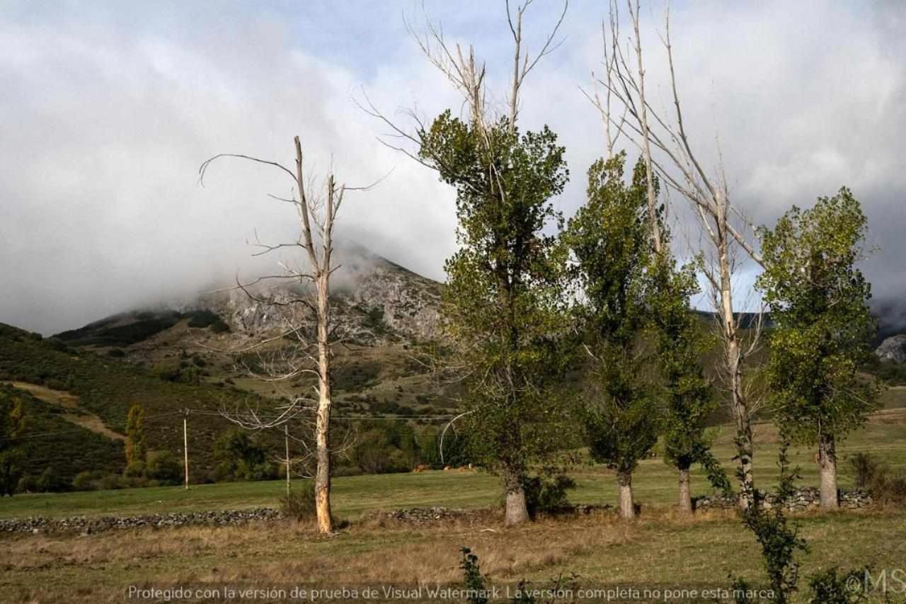 Casa Rural La Parda Триольо Экстерьер фото